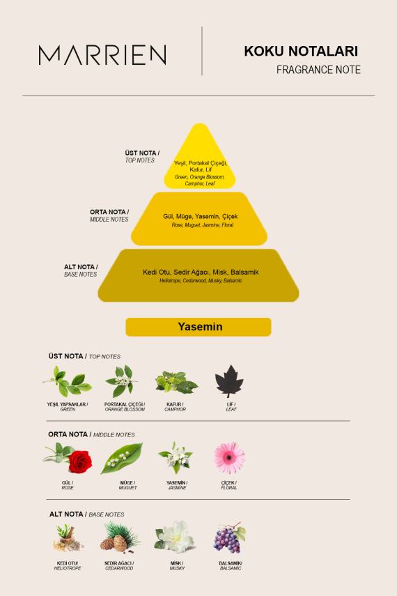 MARRIEN Jasmin Çubuklu Oda Kokusu 100 ml- - 5